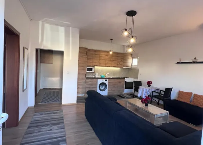 Oasis Royal 公寓 塞拉耶佛