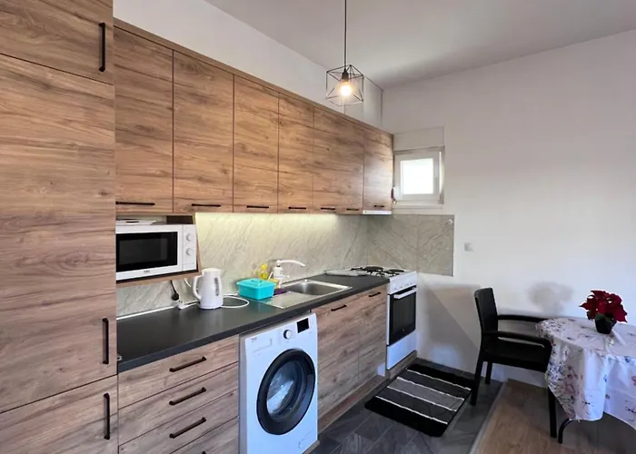 公寓 Oasis Royal 塞拉耶佛